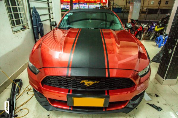 Deccal Tem Ghép Mustang